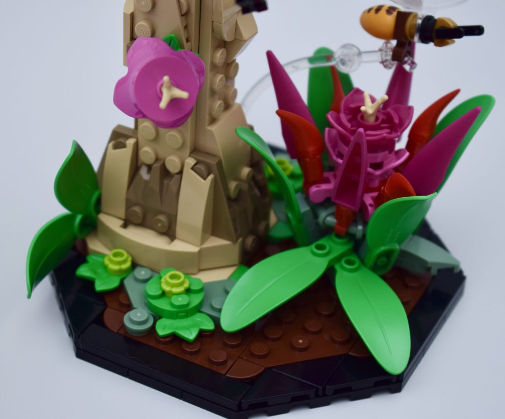 LEGO Ideas 21342 The Insects Collection Review 71 1024x850