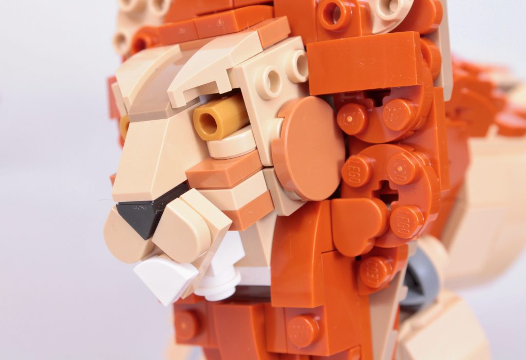 LEGO Creator 3 in 1 31150 Wild Safari Animals review 41 1024x701