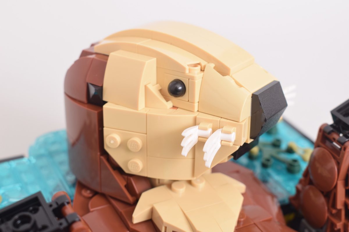 LEGO Ideas 21366 Floating Sea Otters review 20 1200x800