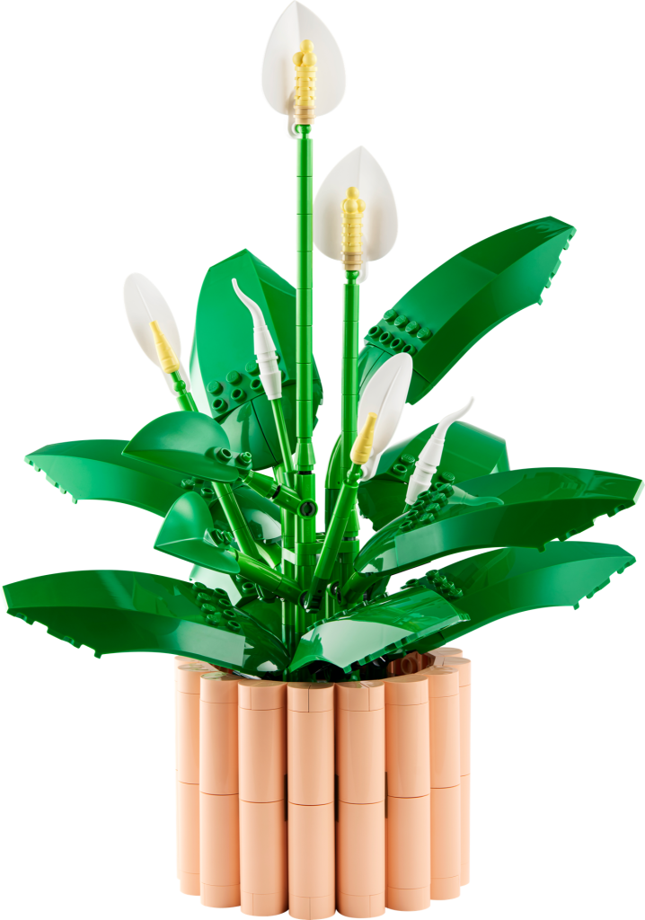 LEGO Botanicals 11504 Peace Lily 18 718x1024