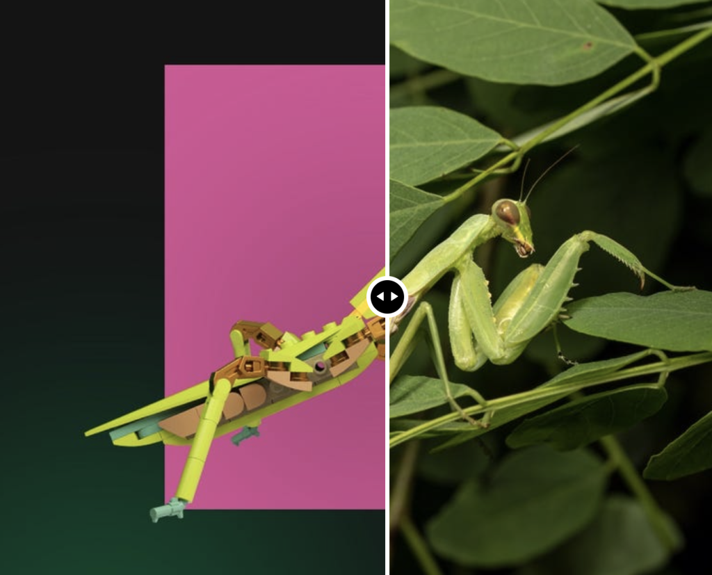 LEGO 21342 The Insect Collection Mantis Comparison 1024x827