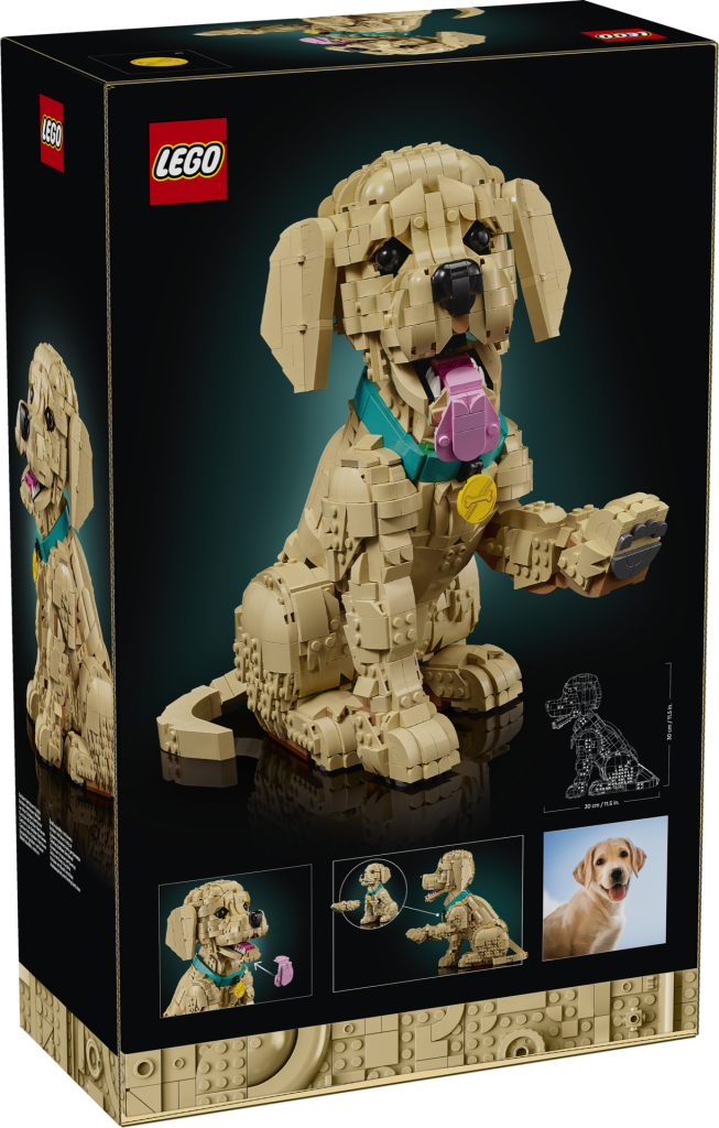 LEGO Icons 11384 Golden Retriever Puppy 3 653x1024
