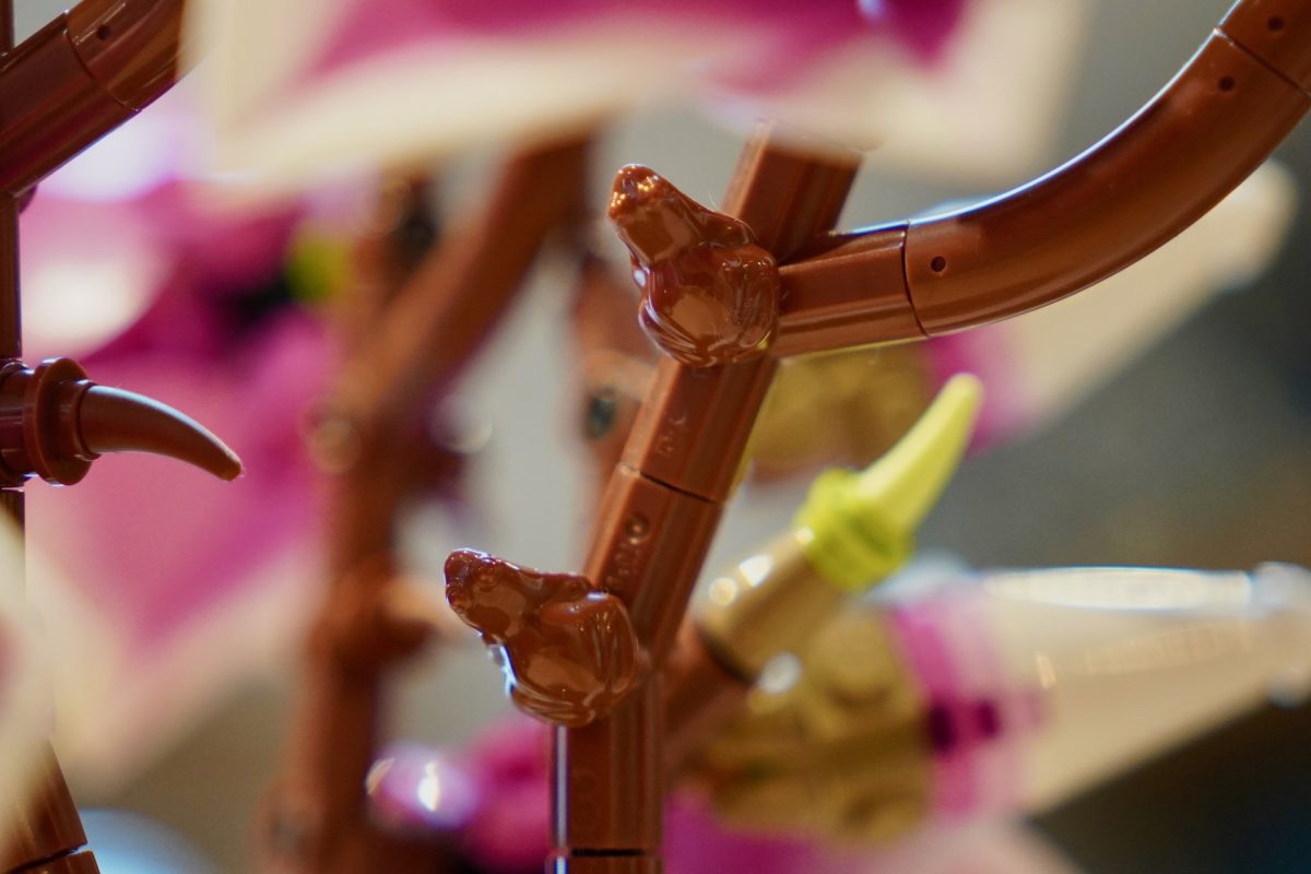 LEGO Botanicals 11510 Magnolia Branches review 11 1200x800