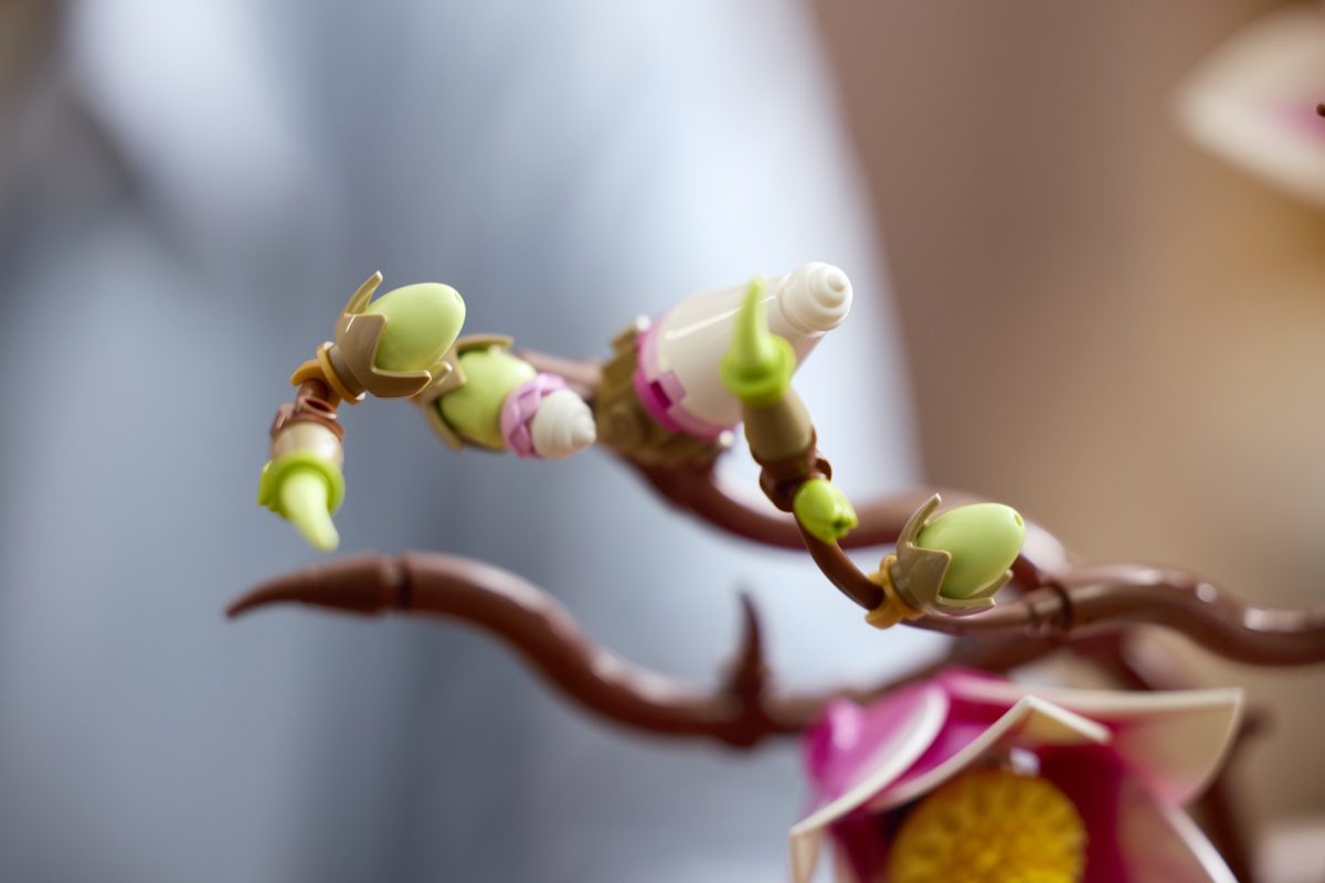 LEGO Botanicals 11510 Magnolia Branches 11 1200x800