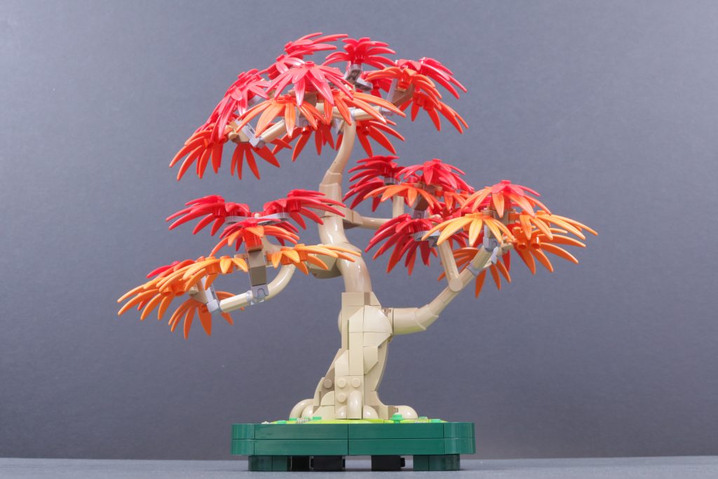LEGO Botanicals 10348 Japanese Maple Tree review 7 1024x683