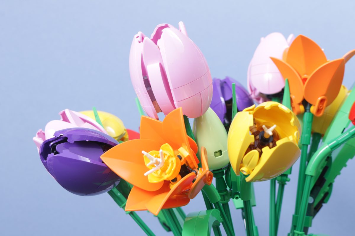 LEGO Botanicals 11501 Tulip Bouquet 11509 Flowering Cactus 11508 Daisies 11504 Peace Lily review 24 1200x800
